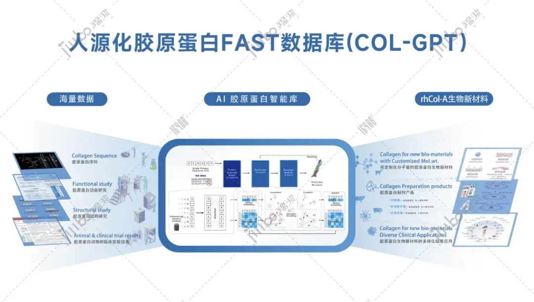 锦波生物“AI胶原智脑”入选2025年度制造业数字化转型典型